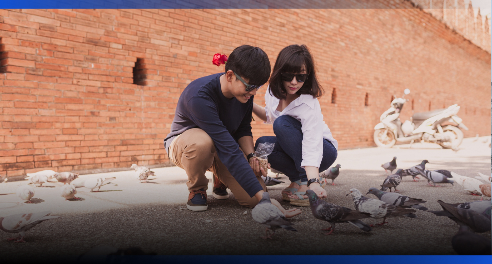 Image for Кормление животных во дворах и парках не запрещено законом